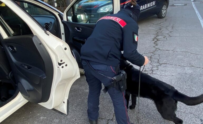 Droga, operazione dei carabinieri: stroncato giro di spaccio tra Siena e Arezzo, tre arrestati