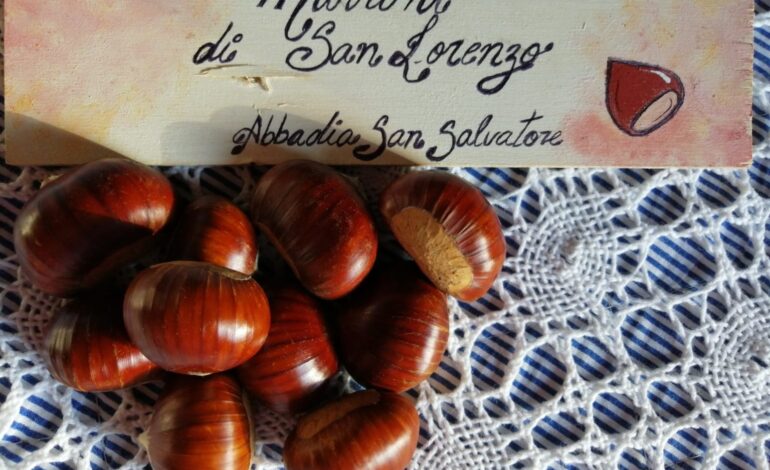 Un autunno senza castagne: clima ostile e muffa nera hanno portato un calo di produzione del 75%