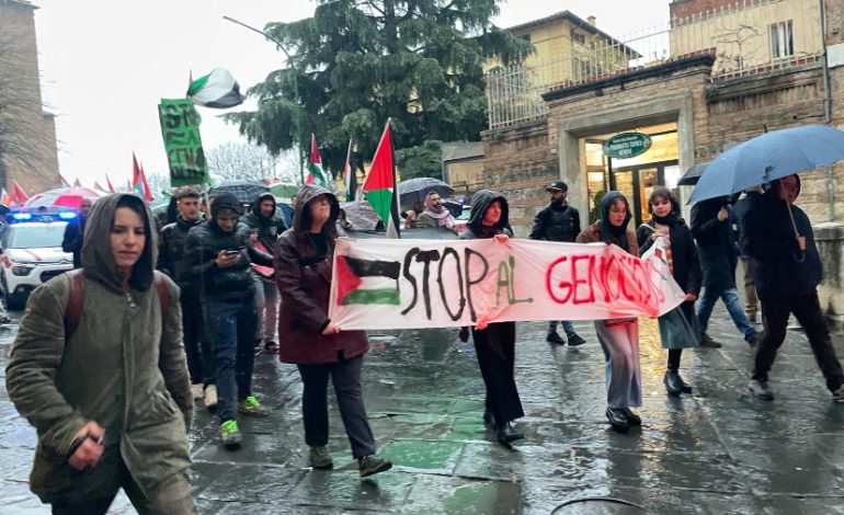 Oltre duecento persone al corteo senese pro Palestina