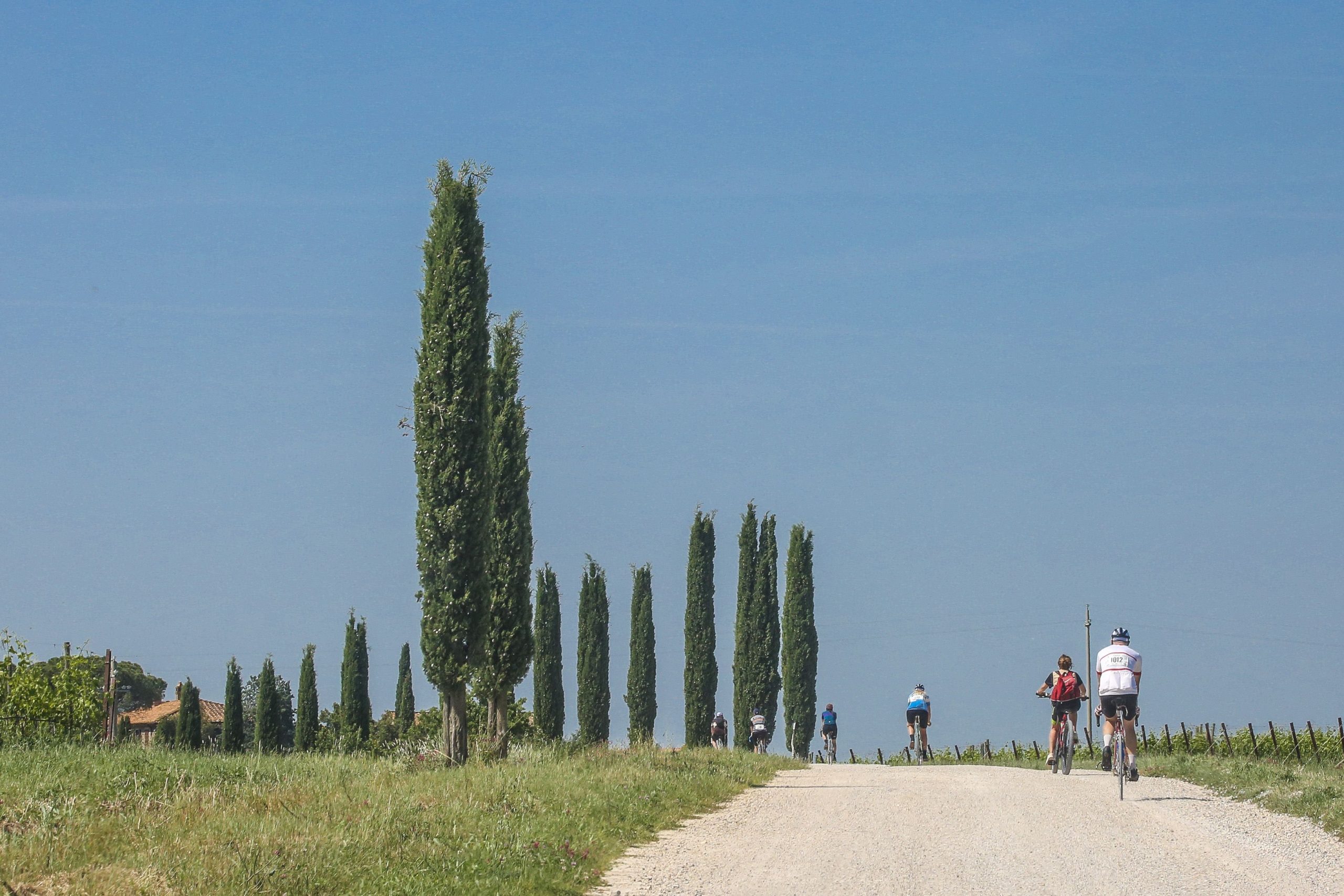 Domenica 26 maggio si corre Eroica Montalcino