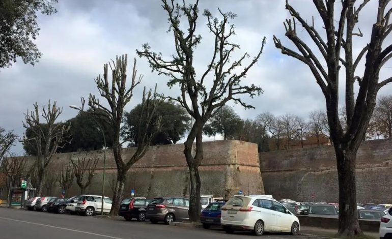 Ex “campino” di San Prospero, via ai lavori dalla seconda metà di marzo. Bianchini e Tucci: “Limiteremo al massimo i disagi”