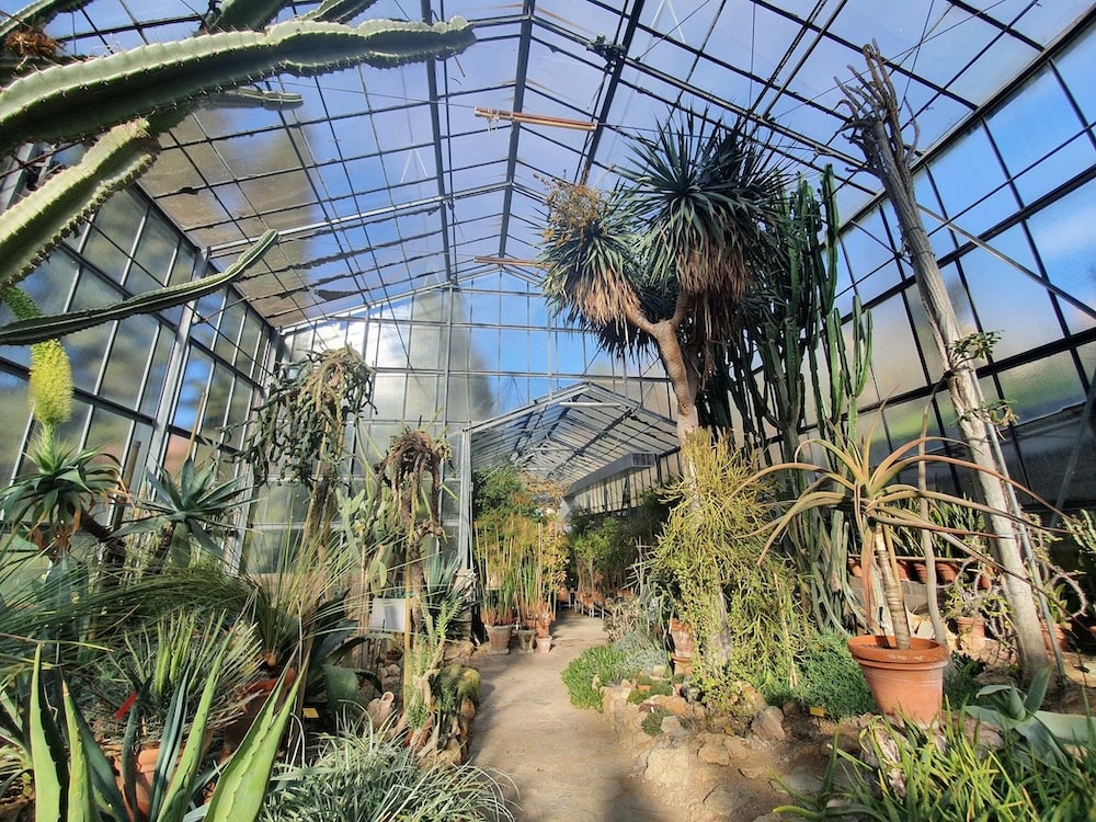 Il 19 dicembre letture poetiche all’imbrunire all’Orto Botanico di Siena, tra poesia e natura