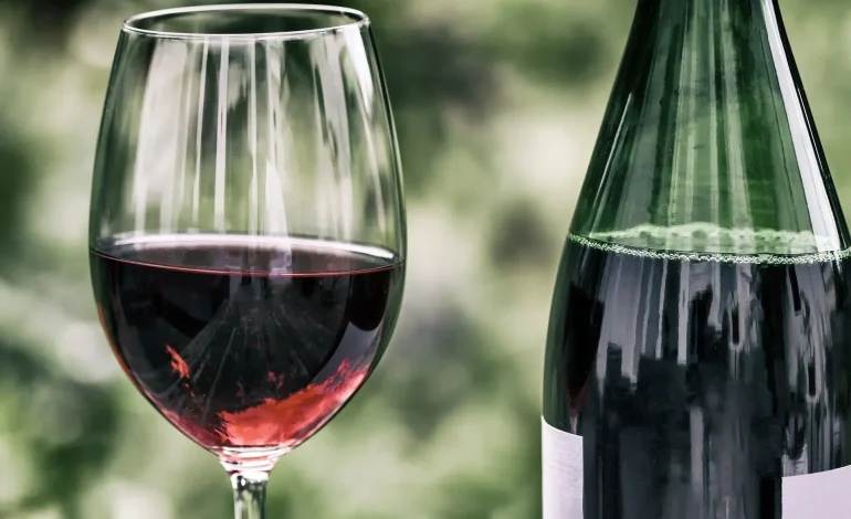 Wine & Siena 2027, il Comune conferma il sostegno alla manifestazione al Santa Maria della Scala
