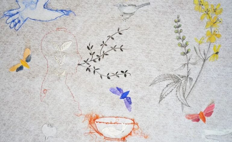 “Giardino di Carta. Il filo e il segno”, 30 opere di Primarosa Cesarini Sforza in mostra al Santa Maria della Scala