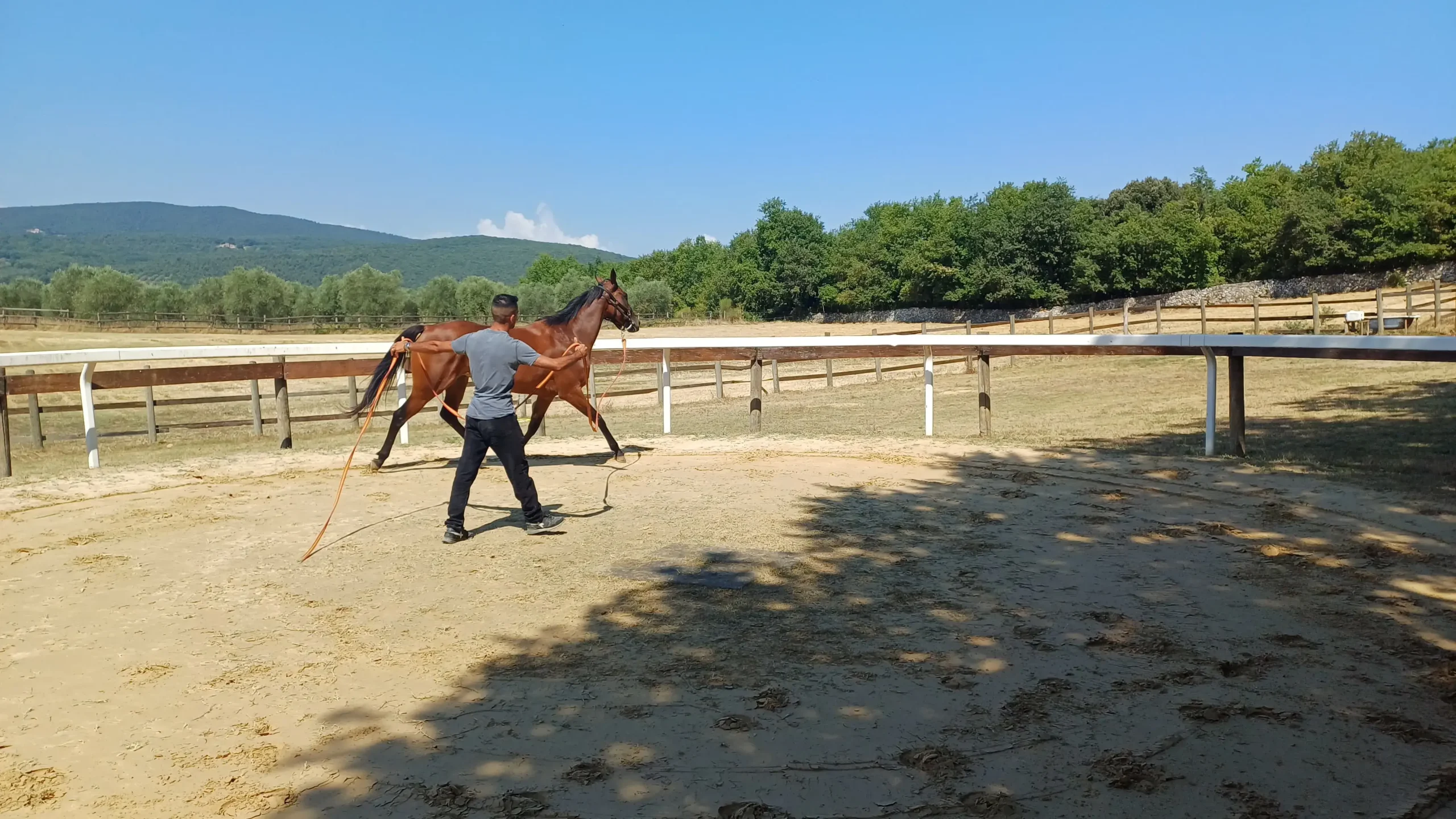 Palio dell’Assunta, gli orari delle previsite al Ceppo