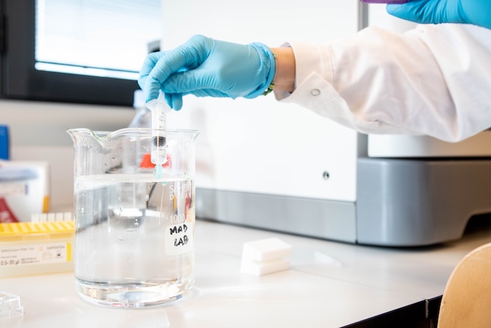 Shigella: anticorpo monoclonale si dimostra capace di una protezione completa dall’infezione. La scoperta grazie a uno studio coordinato da Fondazione TLS