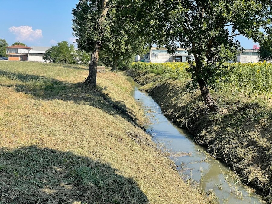 In corso interventi di manutenzione ordinaria dei corsi d’acqua a Monteroni d’Arbia