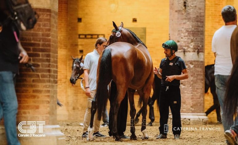 Palio dell’Assunta, ecco tutti gli orari
