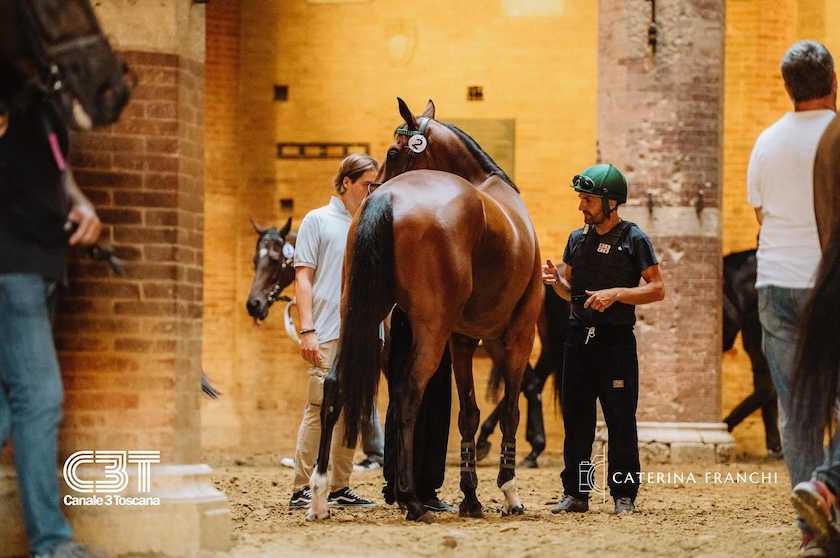 Palio, sono settantasette i cavalli ammessi alle prove di notte. Otto i cavalli alla Tratta, presenti i tre big