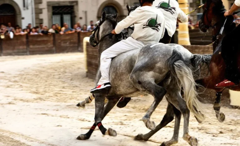 Palio di Castel del Piano: aperte le iscrizioni dei cavalli fino al 2 settembre