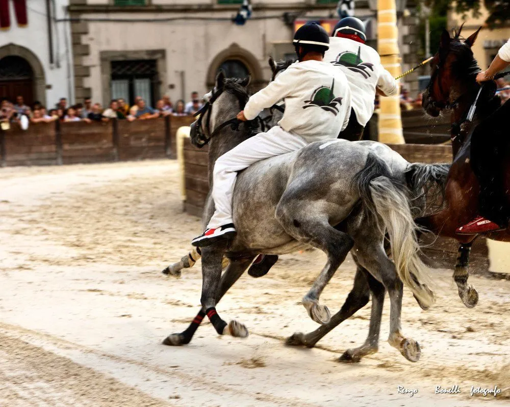 Palio di Castel del Piano: aperte le iscrizioni dei cavalli fino al 2 settembre