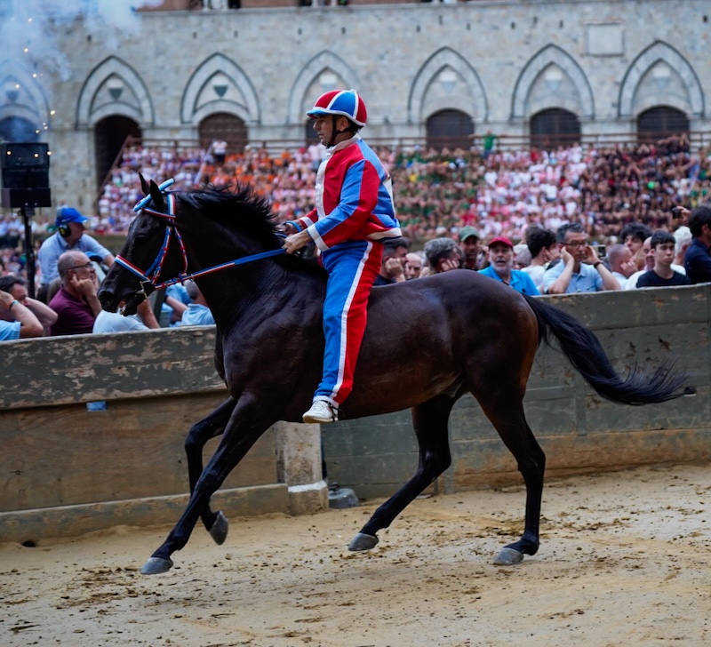 La Pantera si aggiudica la prima prova del Palio dell’Assunta – VIDEO