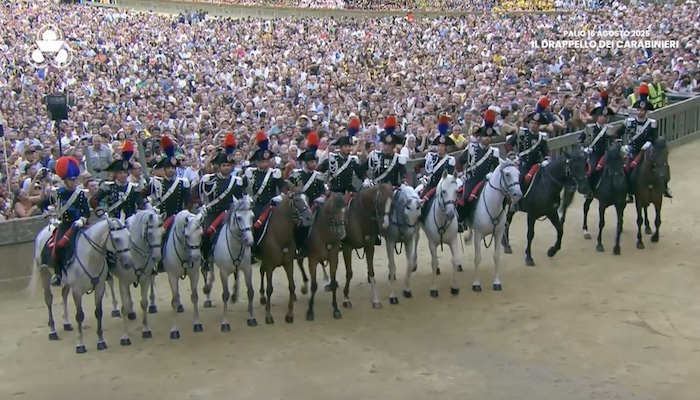 Palio 16 Agosto 2025, il Drappello dei Carabinieri a cavallo – VIDEO