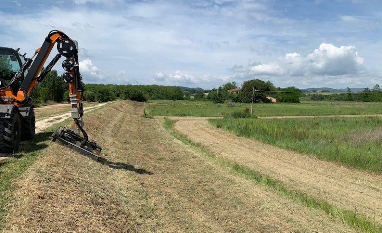 Buonconvento, rimossa la vegetazione infestante sull’argine dell’Ombrone
