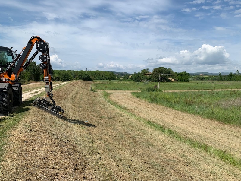 Buonconvento, rimossa la vegetazione infestante sull’argine dell’Ombrone