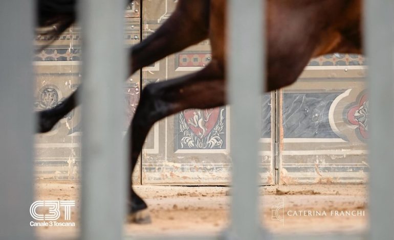 Palio 16 agosto 2025, l’elenco dei cavalli ammessi alla Tratta