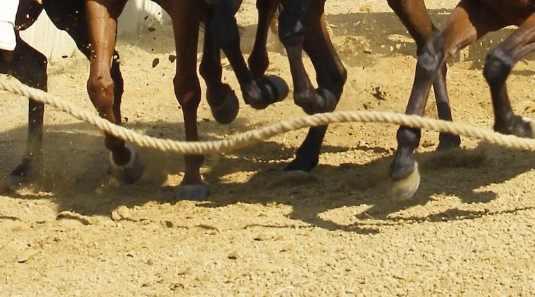 Palio, le accoppiate della prima prova. Nella Tartuca c’è Cersosimo