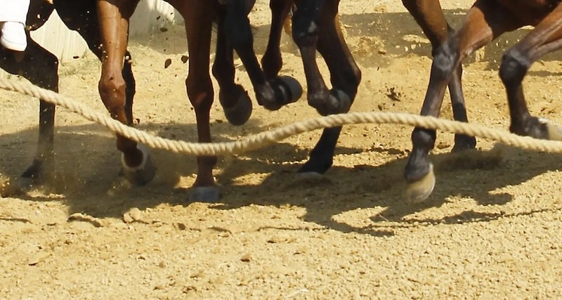 Palio, le accoppiate della prima prova. Nella Tartuca c’è Cersosimo