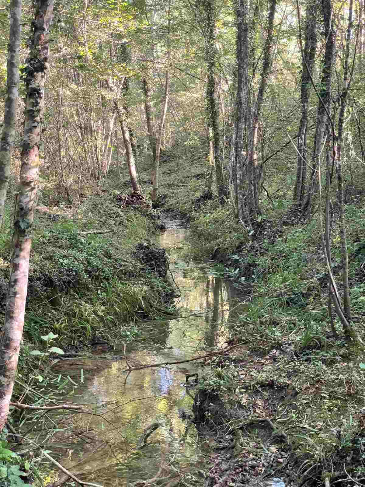 Il Consorzio di Bonifica 6 Toscana Sud ha eseguito le manutenzioni sui corsi d’ acqua di Chiusdino