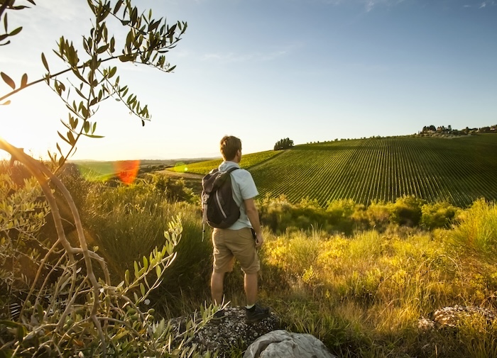 Nuovo Testo unico del turismo: approvato il regolamento attuativo