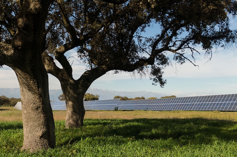 Estra sottoscrive un Corporate PPA con Statkraft per la fornitura di energia rinnovabile