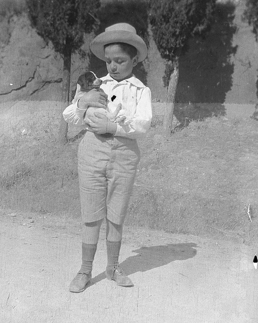 Oggi, 120 anni fa, nasceva Cesare Brandi. Le iniziative per ricordarlo