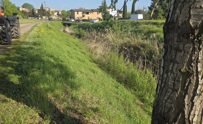 Manutenzione ordinaria sulla gora Monteroni nell’unità idrografica Destra Ombrone a Monteroni d’Arbia