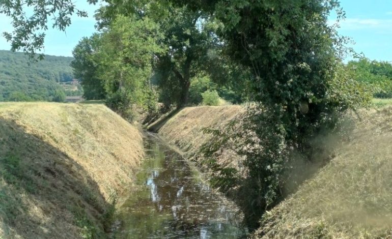 Manutenzione ordinaria sul torrente Rigo 3 nell’unità idrografica Destra Ombrone a Sovicille