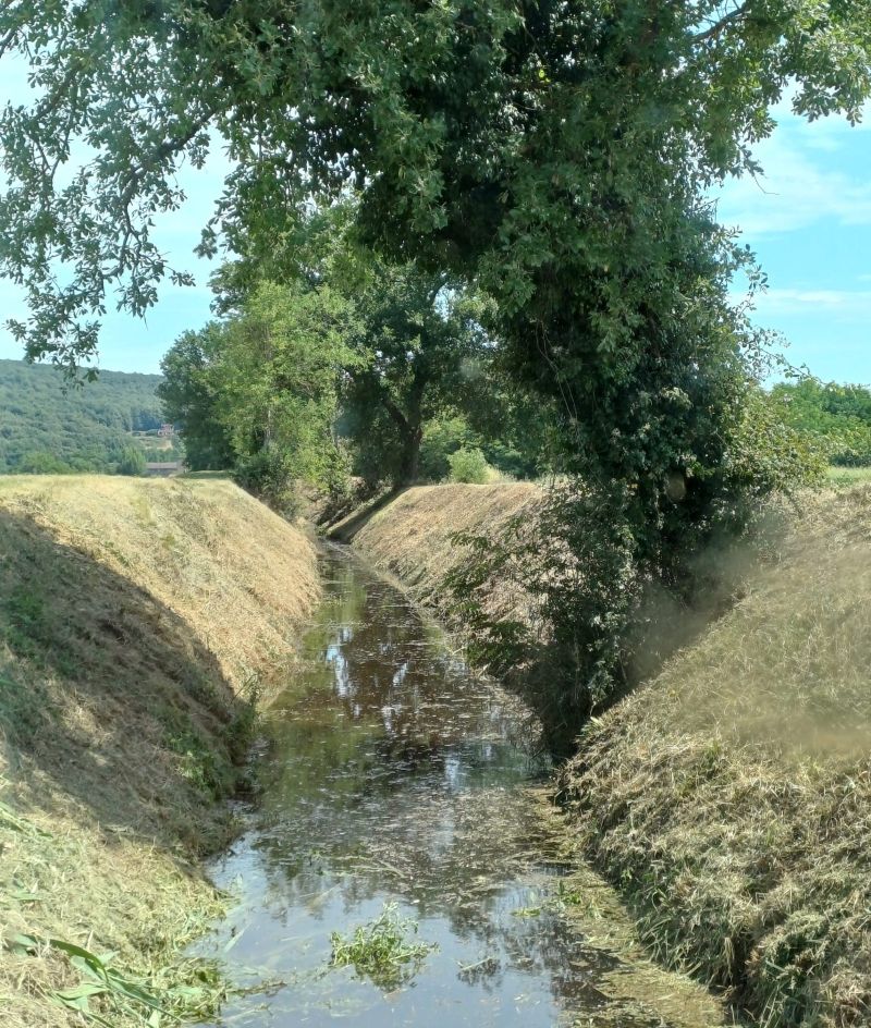 Manutenzione ordinaria sul torrente Rigo 3 nell’unità idrografica Destra Ombrone a Sovicille
