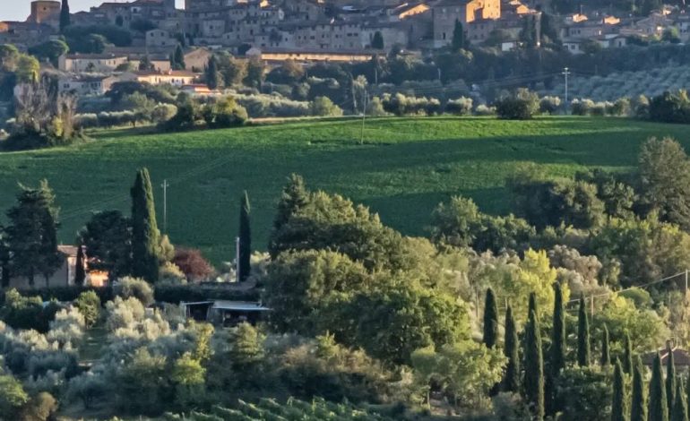 San Gimignano, approvato il progetto per riqualificare l’area giochi a Belvedere e altri spazi ludici per i più piccoli
