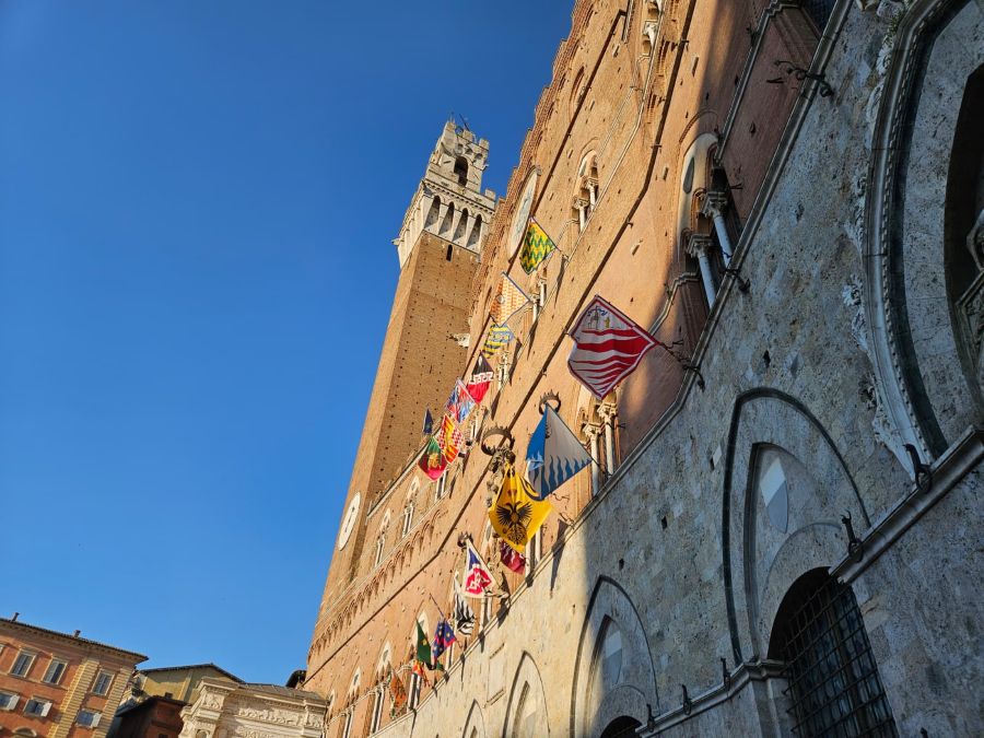 Palio 16 agosto 2026: estratte Aquila, Onda e Giraffa. Bircolotti confermato mossiere