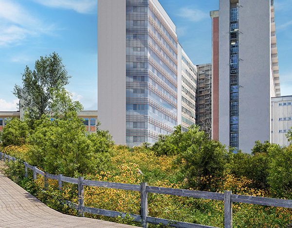Masterplan AOUS: approvati i progetti di fattibilità tecnica ed economica per il nuovo Edificio Laboratori e per la Torre antisismica