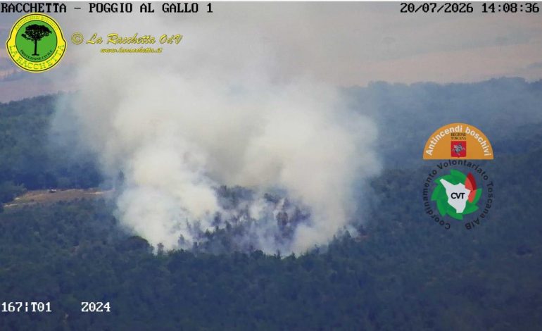 Incendio boschivo a Sovicille, due gli elicotteri impegnati