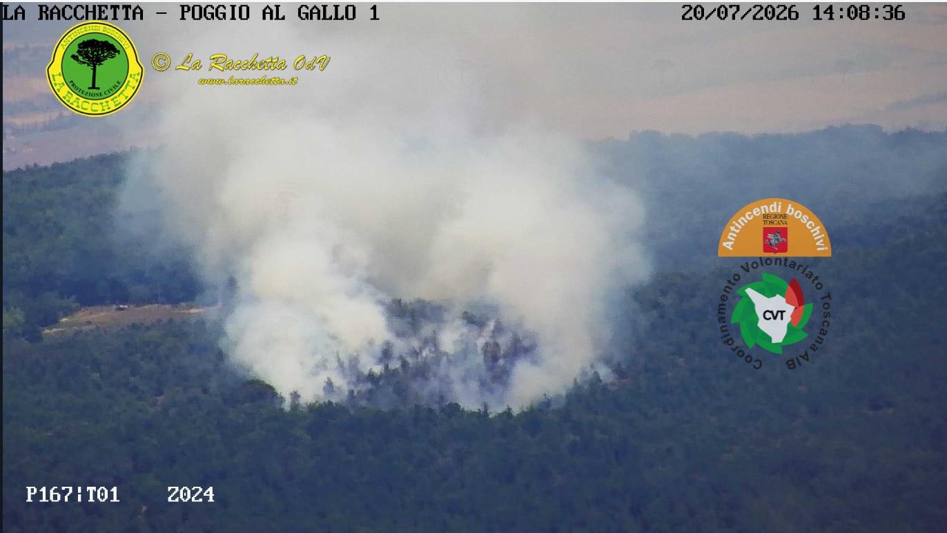 Incendio boschivo a Sovicille, due gli elicotteri impegnati