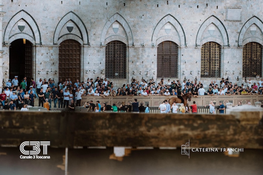Palio 16 agosto 2026, l’elenco dei cavalli ammessi alla Tratta