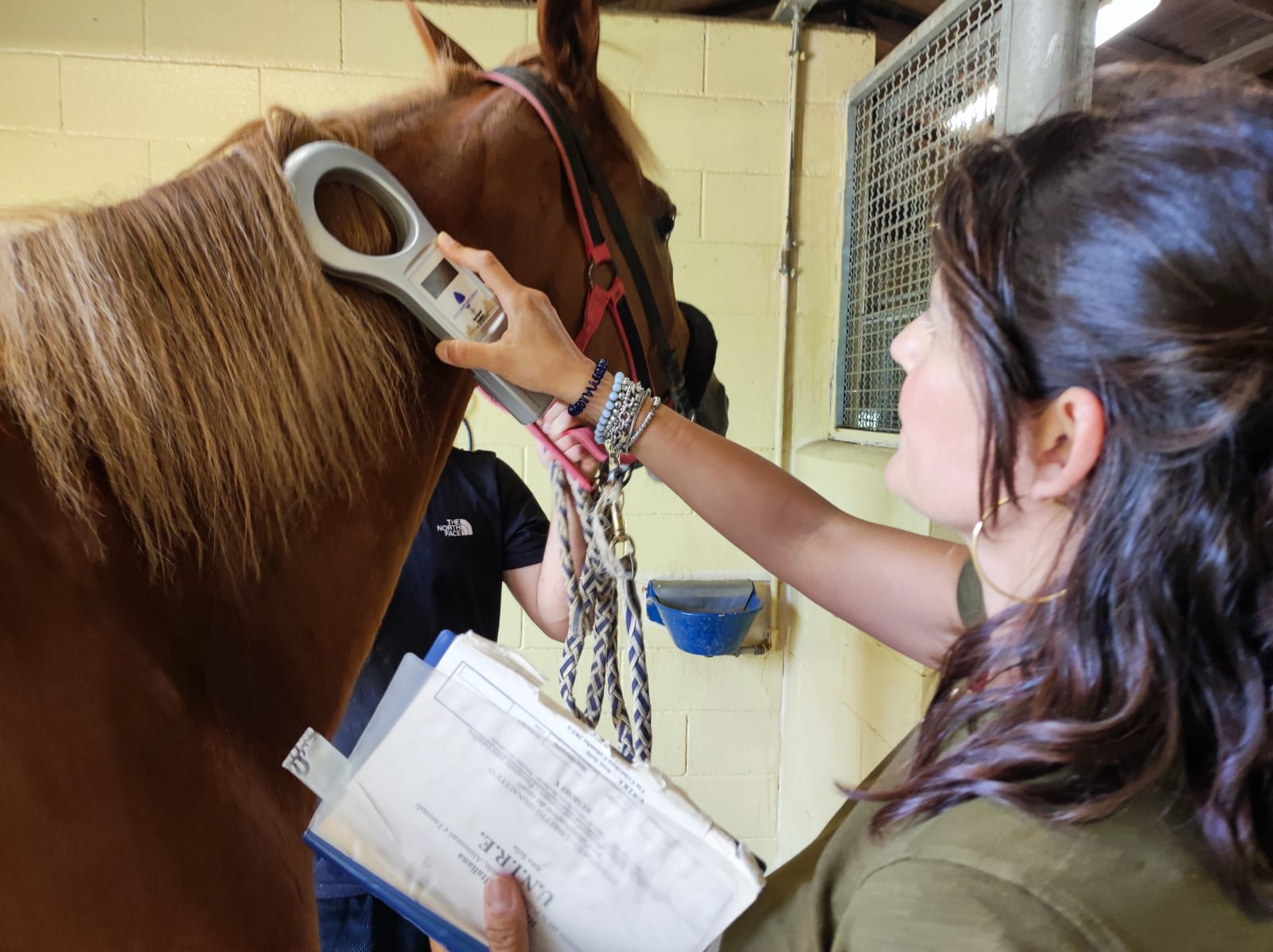 Palio dell’Assunta, l’impegno dei veterinari dell’Asl Toscana sud est