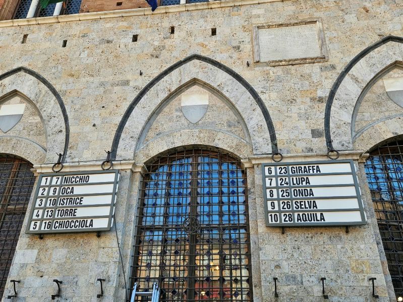 Palio 16 agosto, l’assegnazione dei cavalli