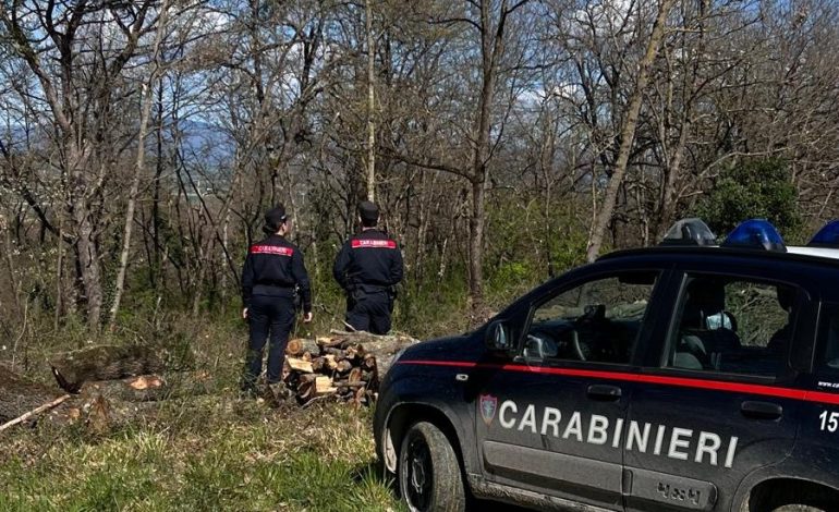 Carabinieri bloccano pusher e sequestrano droga, denaro e coltello