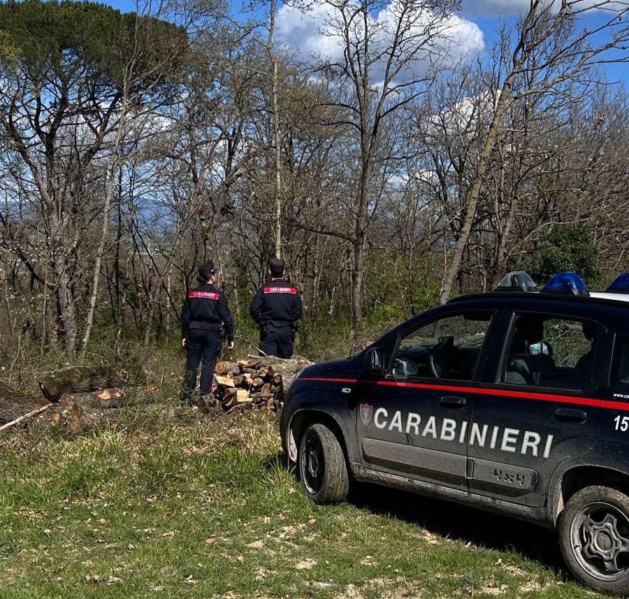 Carabinieri bloccano pusher e sequestrano droga, denaro e coltello
