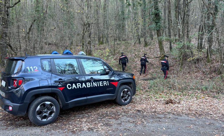 Smantellato bivacco dello spaccio nei boschi di Trequanda: l’intervento congiunto dei Carabinieri ripristina la sicurezza e l’ambiente