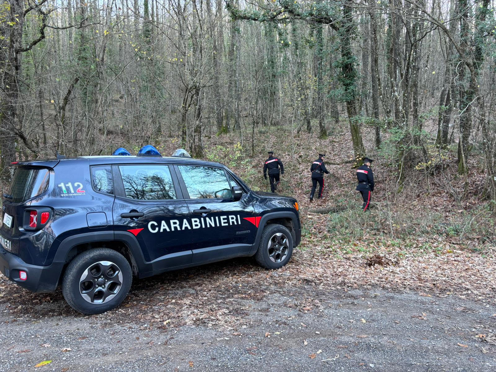 Smantellato bivacco dello spaccio nei boschi di Trequanda: l’intervento congiunto dei Carabinieri ripristina la sicurezza e l’ambiente