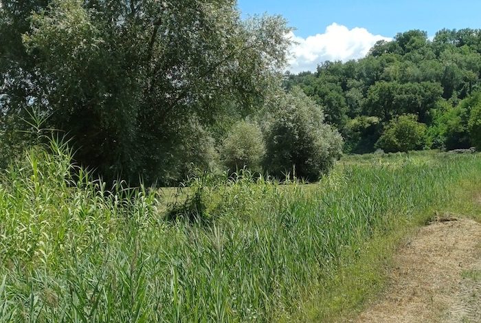 Consorzio di Bonifica, intervento di manutenzione ordinaria nel comune di Asciano