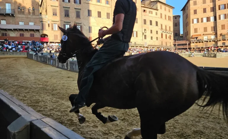 Palio 16 agosto, il programma delle prove regolamentate