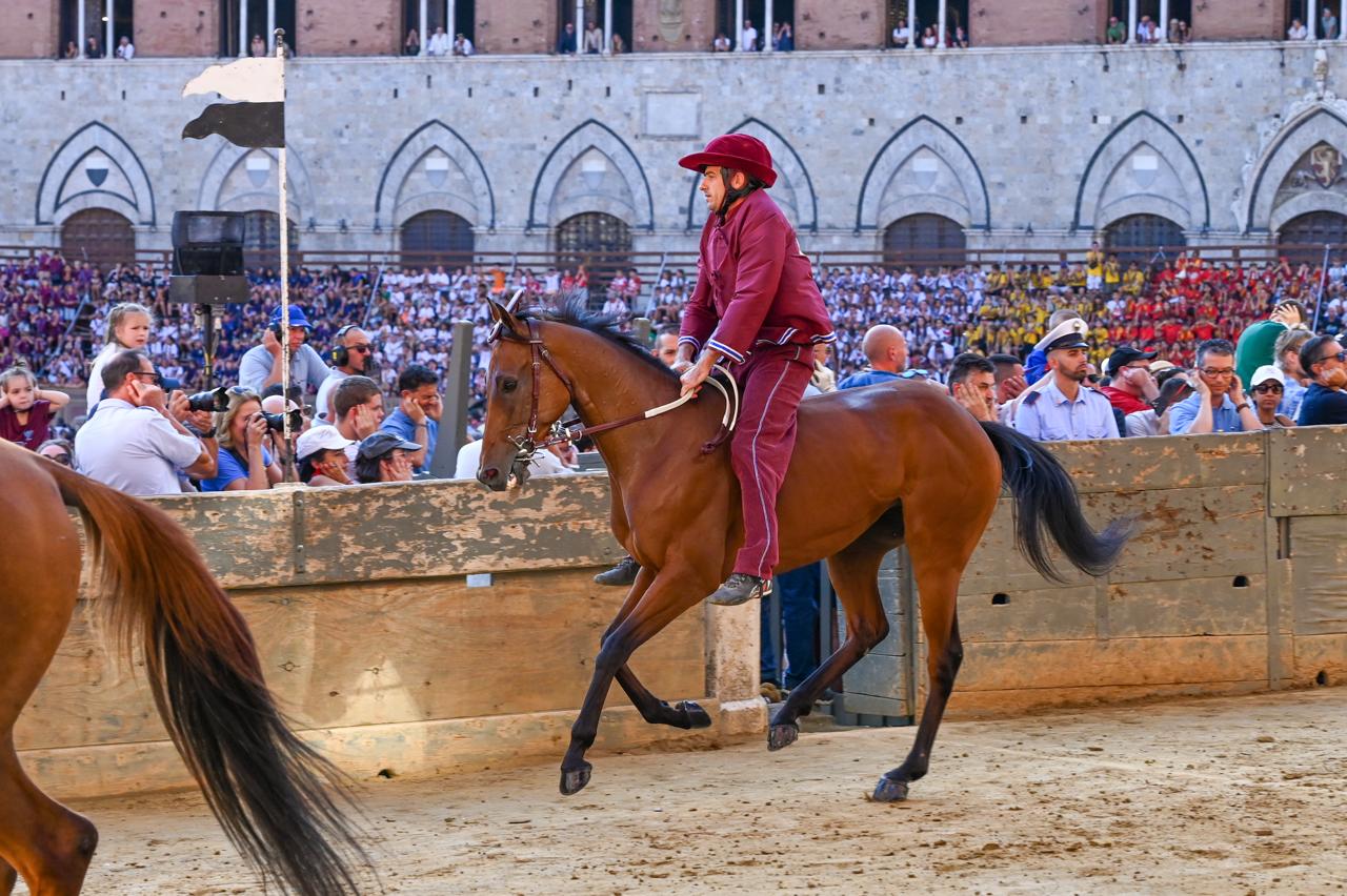 Palio 16 agosto, la Torre vince la quarta prova – VIDEO