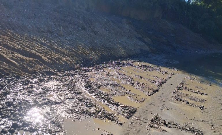 Torrente Tressa, nuovo intervento di manutenzione ordinaria