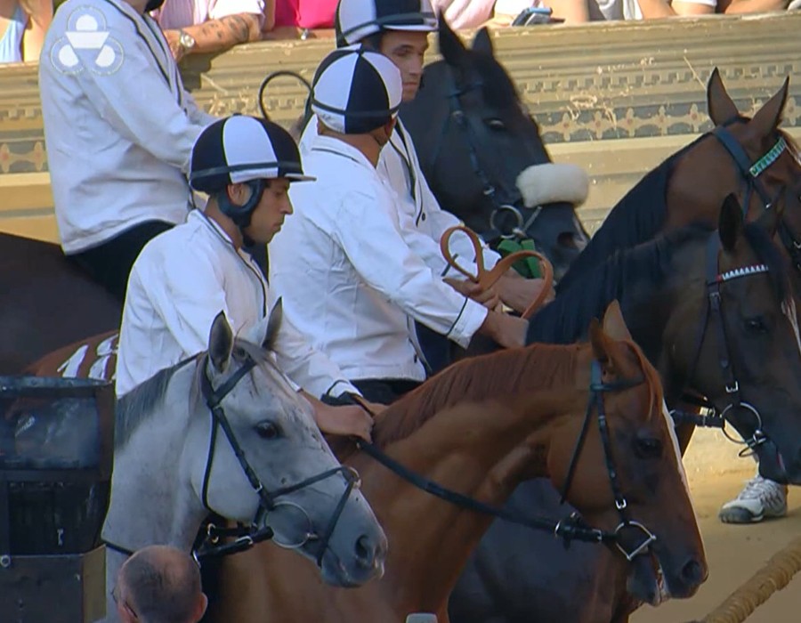 Palio dell’Assunta 2026, la prima batteria – VIDEO