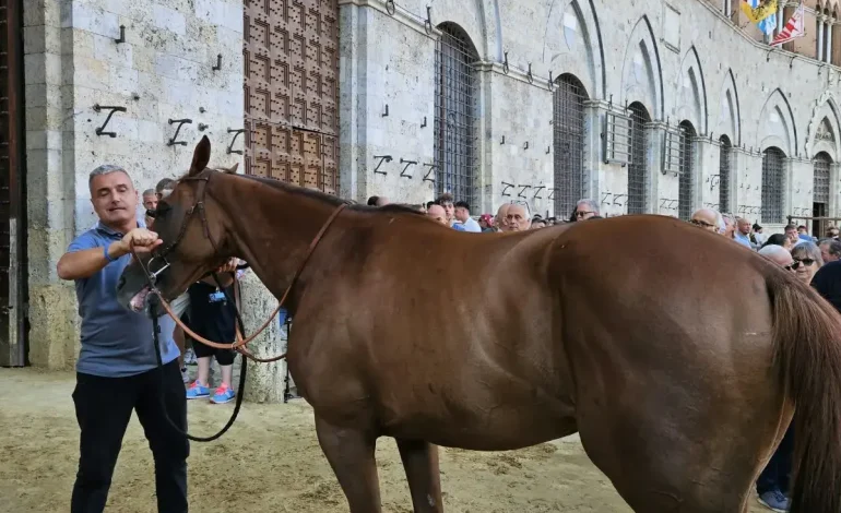 Palio 16 agosto, le batterie della Tratta