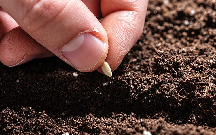 Distretto biologico della Valdelsa, aperte le adesioni fino al 15 ottobre