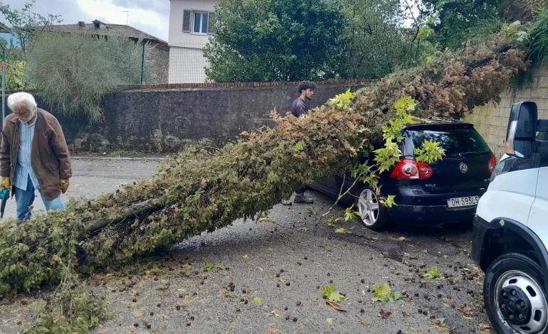 Maltempo a Sinalunga, muore tragicamente una donna a causa di un downburst