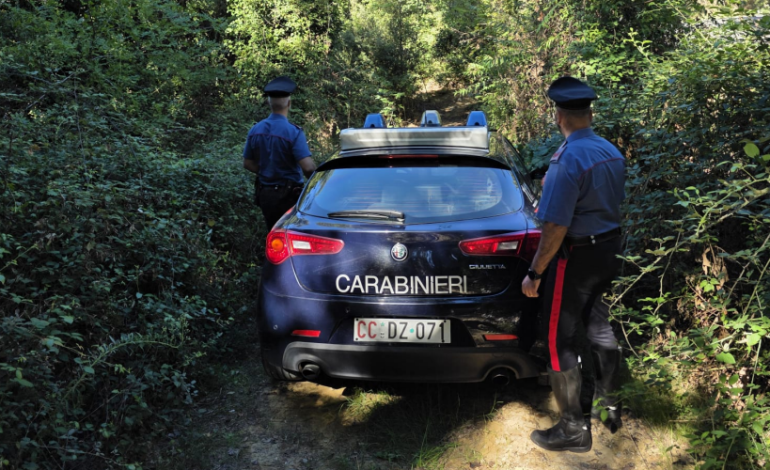 Poggibonsi, 19enne arrestato dai Carabinieri: sorpreso con cocaina, eroina e hashish